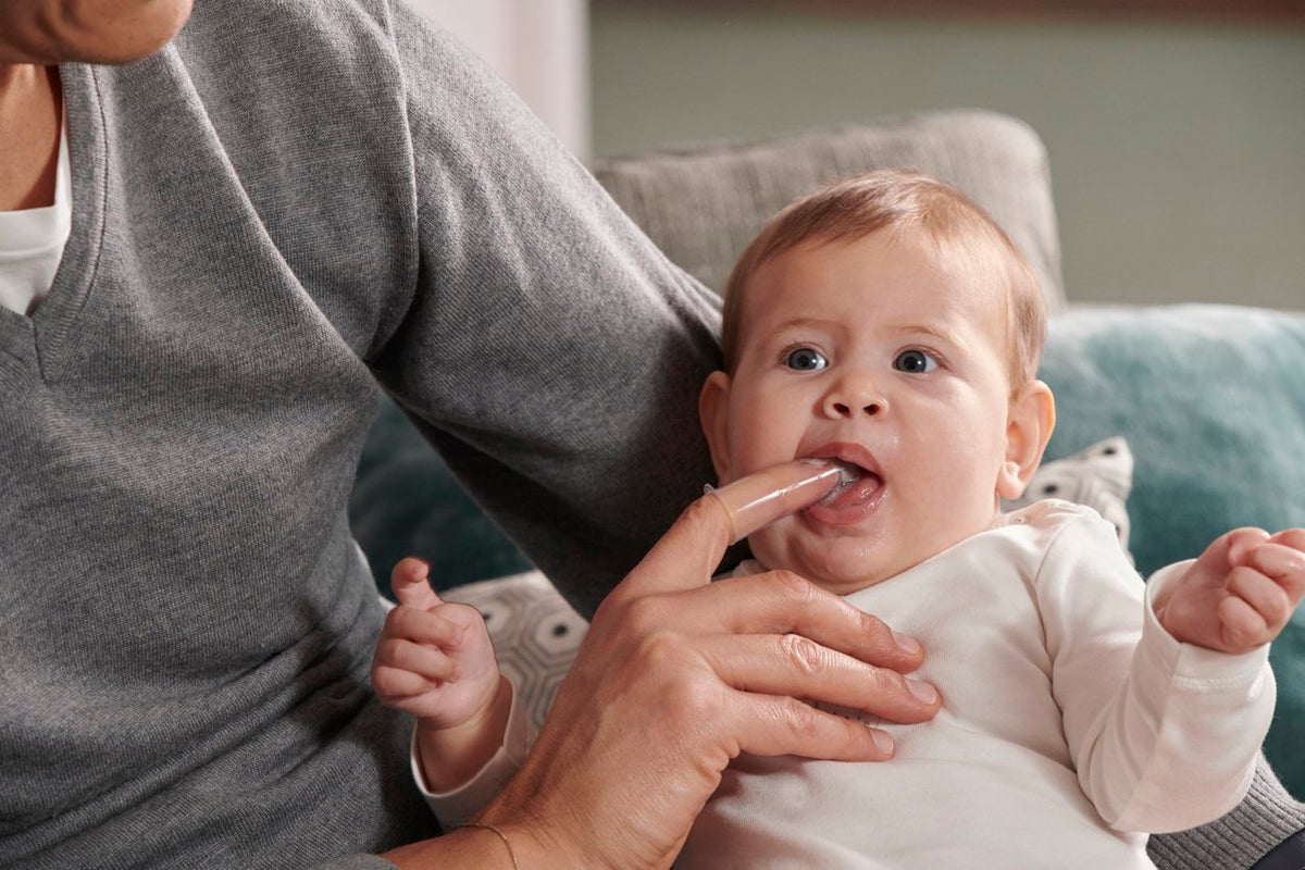 Chicco – Set për Mishrat dhe Dhëmbët e Parë të Bebit 4M+ – foto 4