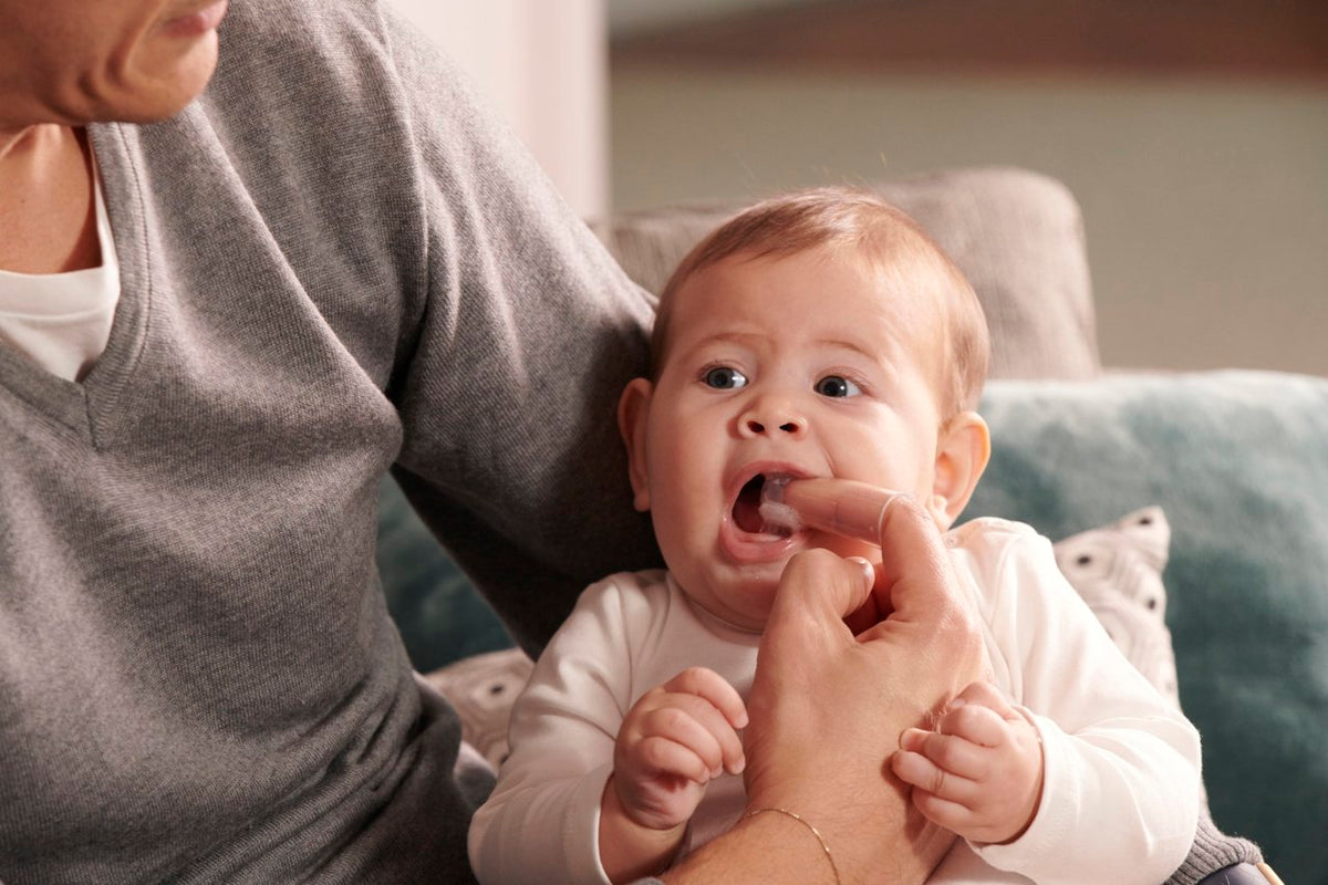 Chicco – Set për Mishrat dhe Dhëmbët e Parë të Bebit 4M+ – foto 6